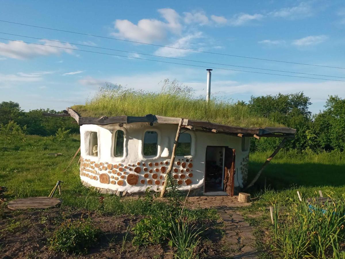 Сказочный Дом Villa Buki  ภายนอก รูปภาพ